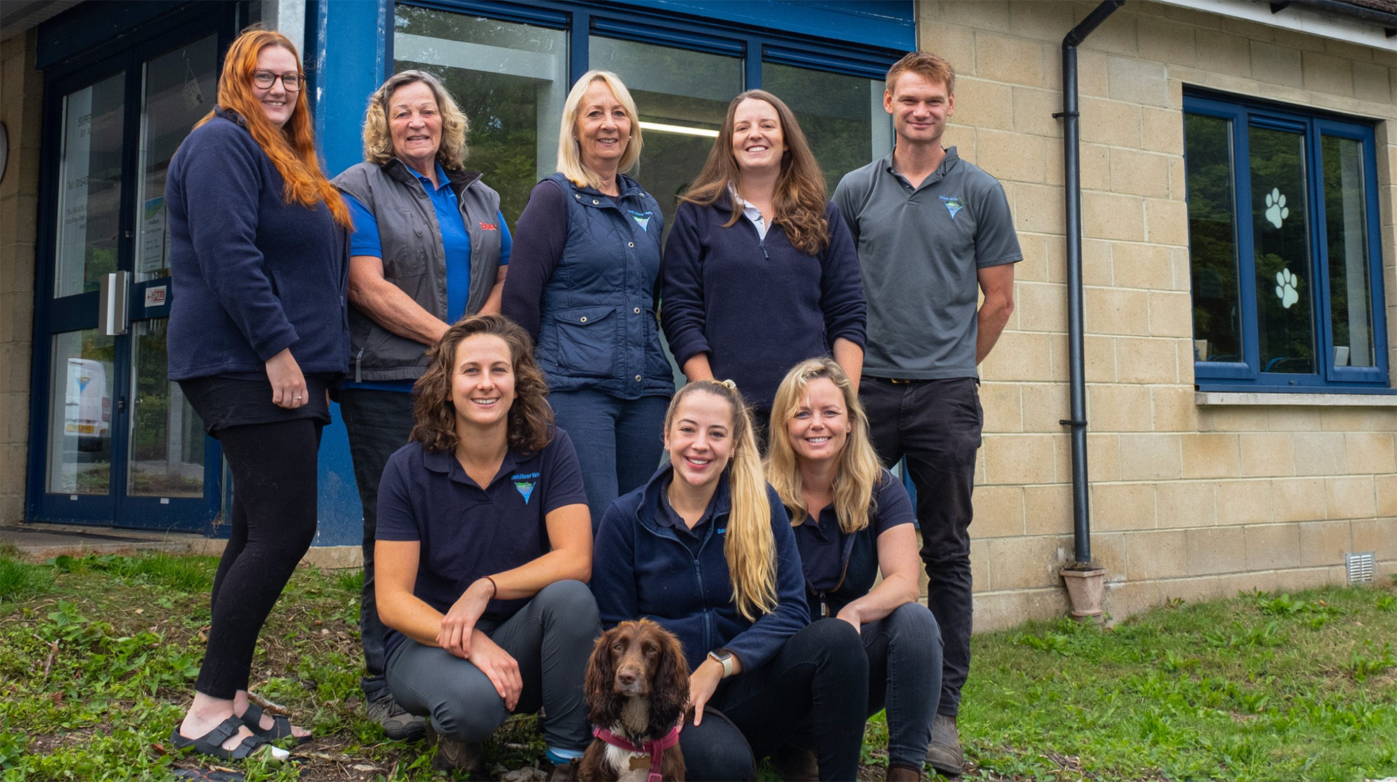 equine team