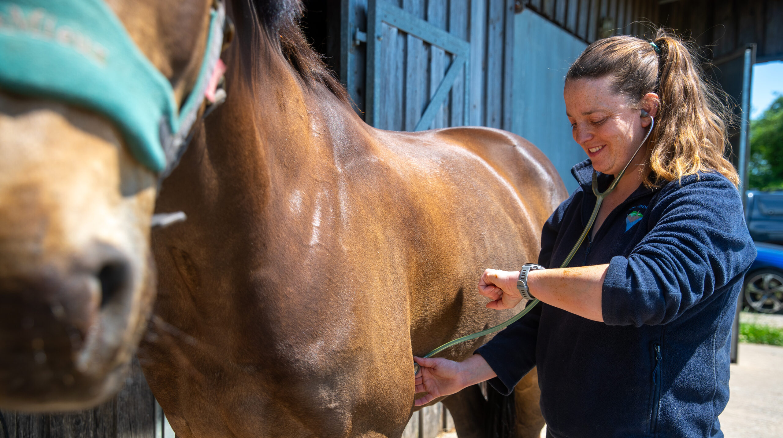 South Moor Vets: Vet Hannah with a horse