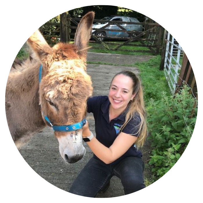 South Moor Vets Equine Fizz the season South Moor Vets Equine: Pippin
