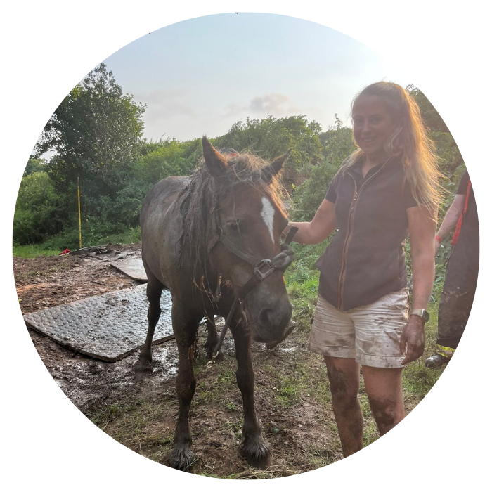 South Moor Vets Equine Stuck in the muck South Moor Vets equine: Stuck in the muck